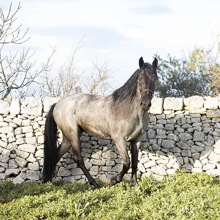 Masseria Serri Hotel *