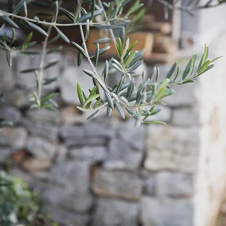 Masseria Serri *