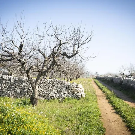 Hotel Masseria Serri Putignano