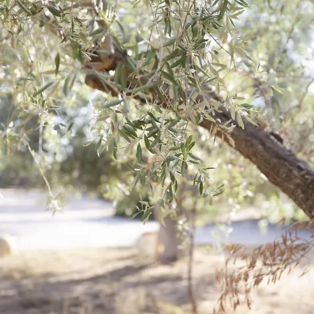Masseria Serri Hotel *